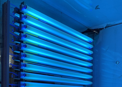 如何通過UV紫外光照實驗箱構建動物皮膚光老化模型？